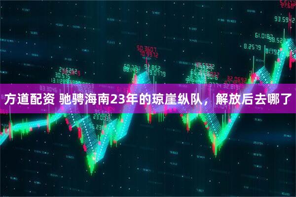 方道配资 驰骋海南23年的琼崖纵队，解放后去哪了